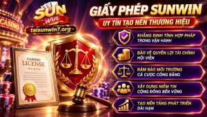 Vai trò quan trọng của các giấy phép SUNWIN