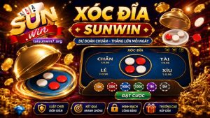 Thông tin tổng quan về xóc đĩa SUNWIN